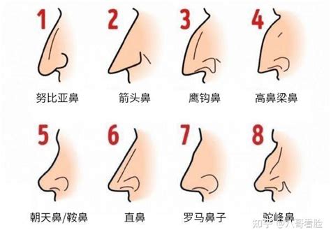 面像 鼻子|十五种鼻型，你属于哪一种？